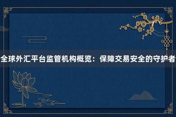 全球外汇平台监管机构概览：保障交易安全的守护者