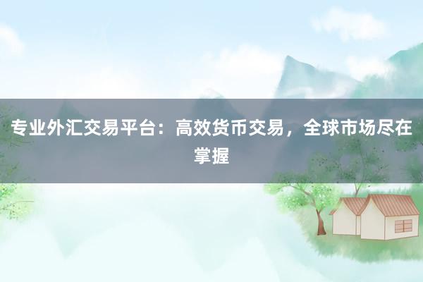 专业外汇交易平台：高效货币交易，全球市场尽在掌握