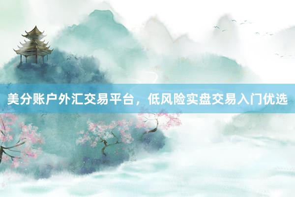 美分账户外汇交易平台，低风险实盘交易入门优选
