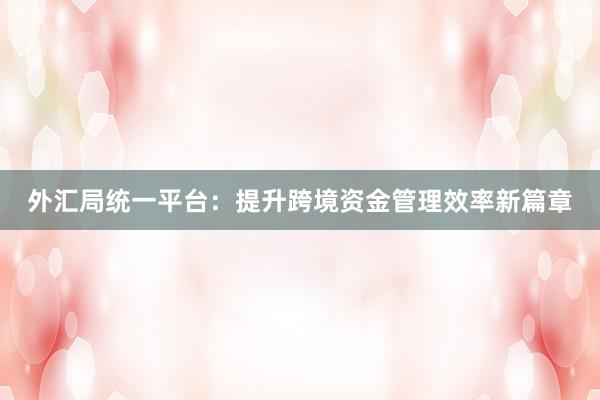 外汇局统一平台：提升跨境资金管理效率新篇章