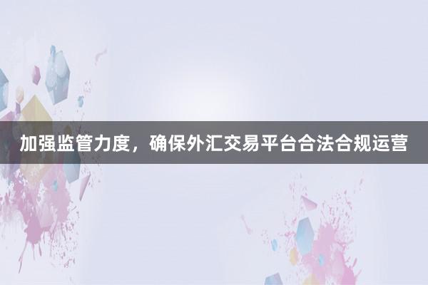 加强监管力度，确保外汇交易平台合法合规运营