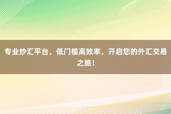 专业炒汇平台，低门槛高效率，开启您的外汇交易之旅！