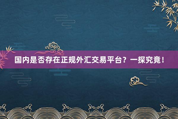 国内是否存在正规外汇交易平台？一探究竟！