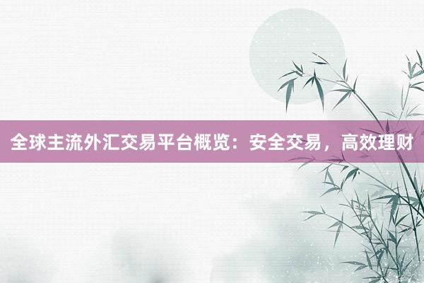 全球主流外汇交易平台概览：安全交易，高效理财