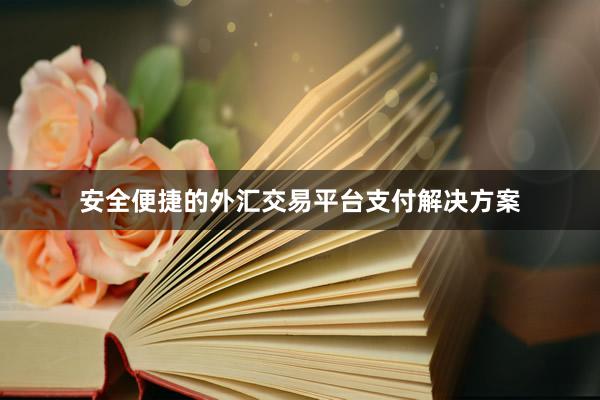 安全便捷的外汇交易平台支付解决方案
