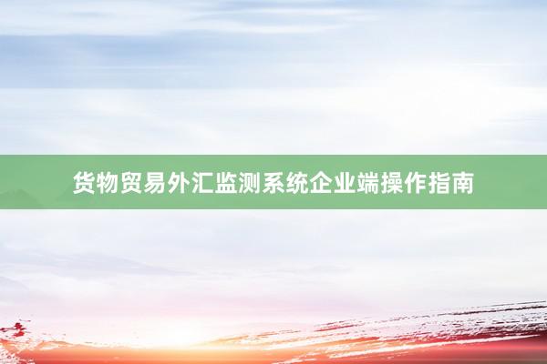 货物贸易外汇监测系统企业端操作指南